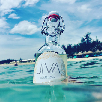 Jiva Kombucha